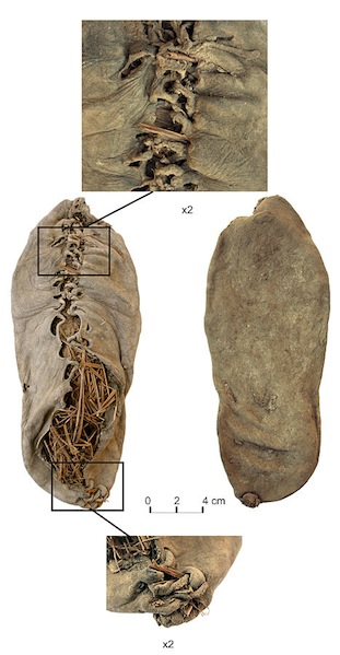 Illustration for article titled One Cave System Held The Oldest Shoe, Brain, and Winery Ever Discovered